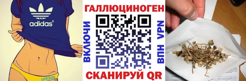 Псилоцибиновые грибы Magic Shrooms  кракен зеркало  Ликино-Дулёво 